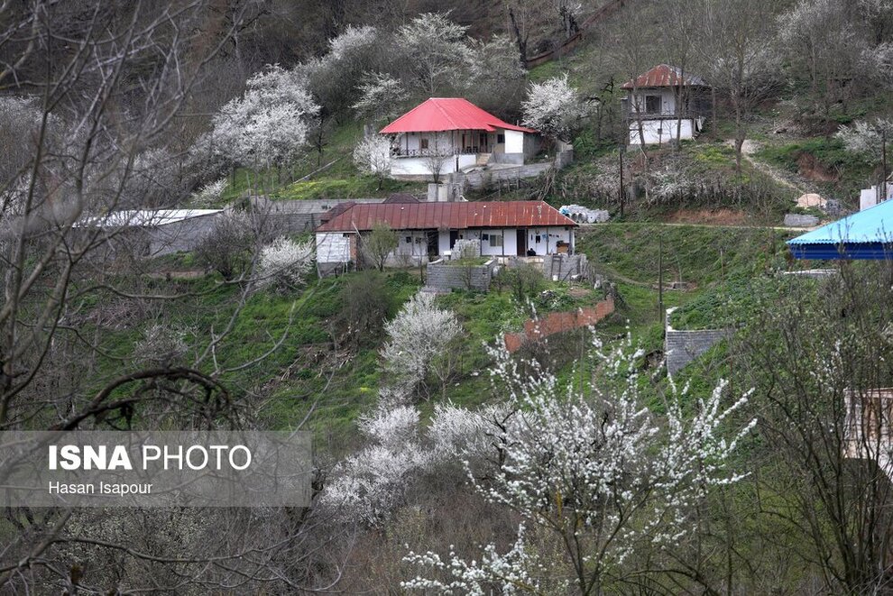 صدرالدین حجازی در فیلم ناخدا خورشید