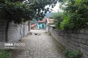 (عکس) این تست خطای دید عمیق ‌ترین خواسته‌ هایتان را آشکار می کند؛ اولین چیزی که می بینید چیست؟