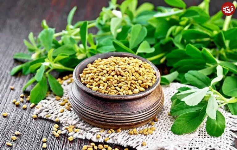 آشنایی با خواص شنبلیله برای بارداری، مو، لاغری و دیابت