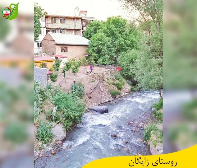 اشکان هورسان در فیلم نعره سکوت