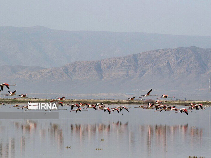 «روستای حسنلوی آذربایجان غربی» شاهکاری برای ثبت جهانی شدن