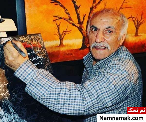 نیکی کت